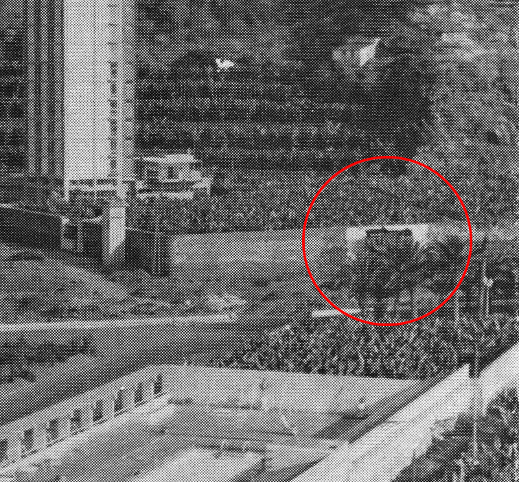 Toro de Osborne (11)