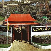 Loro Parque